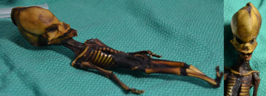 alien 